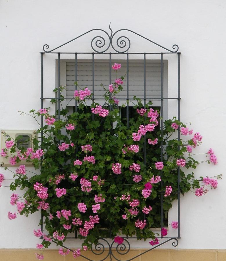 La Casa De Angela Villa Almodóvar del Río Exterior foto